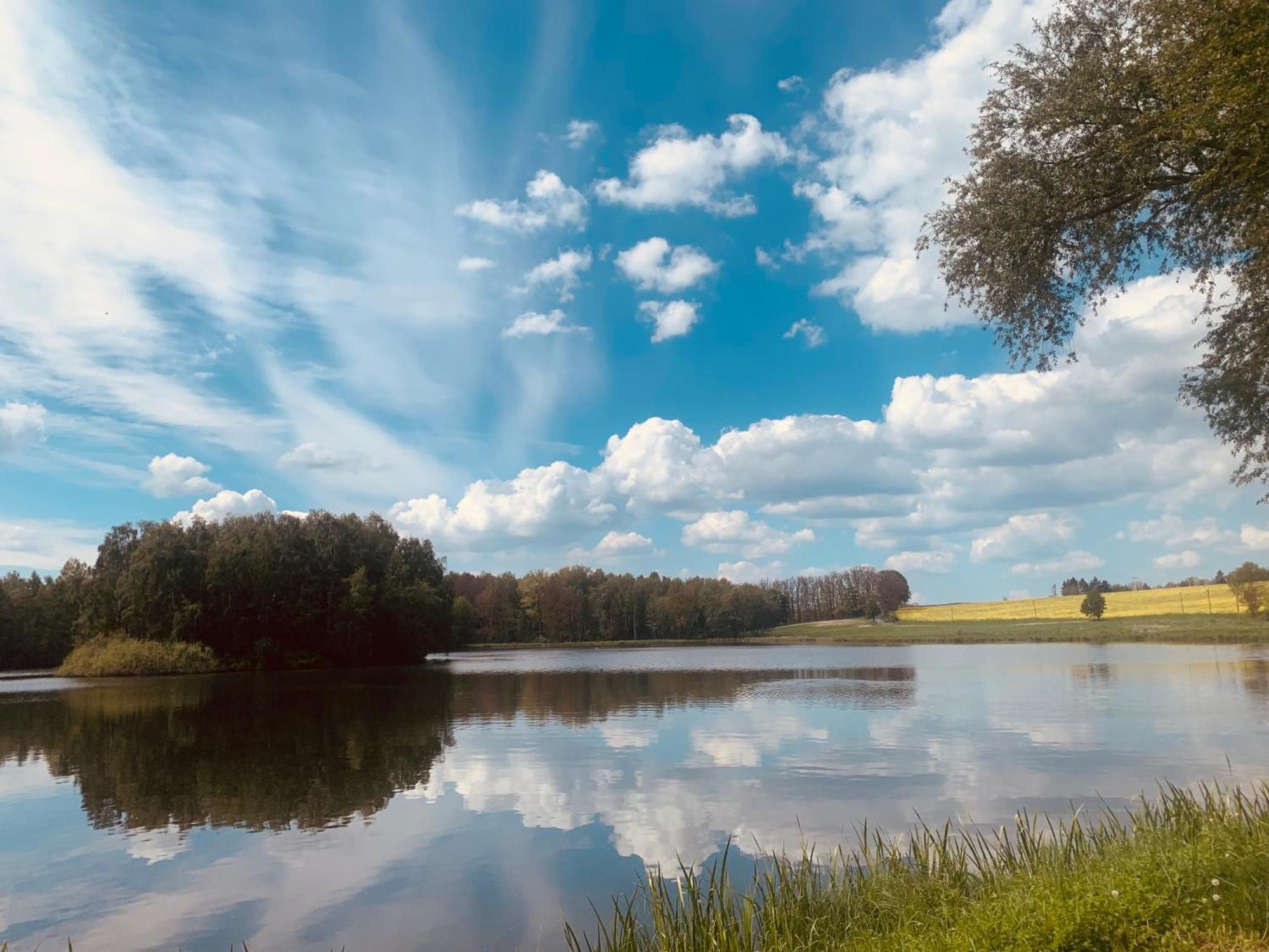 Gemuetliche Ferienwohnung In Idyllischer Lage-Auf Dem Land Dittersdorf Екстериор снимка